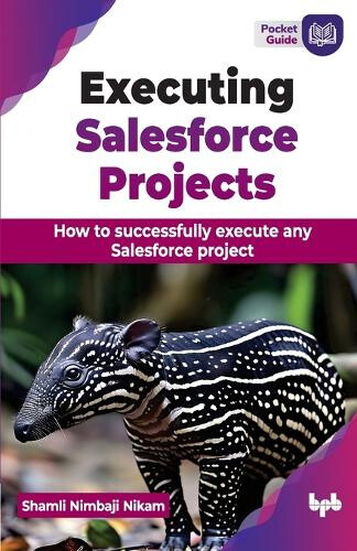 Executing Salesforce Projects: How to successfully execute any Salesforce