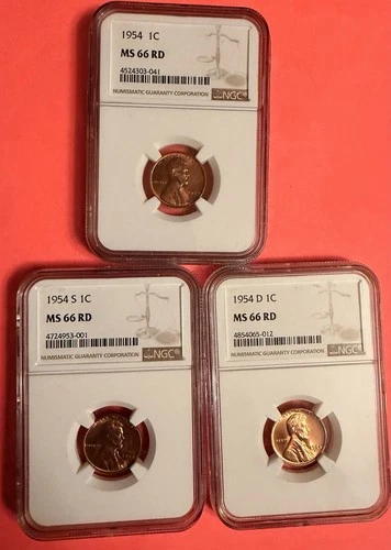 1954 - P D S Lincoln Wheat Penny 1 Cent Uncirculated BU NGC 66 RD Lot Of 3 Coins