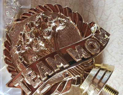 TROPHY SHOP CLOSED - NEW PLAQUE RELIEFS TEAM MOM & MANAGER  GOLD PLASTIC 4  INCH