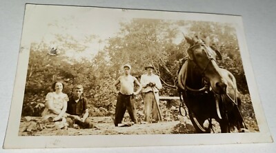Rare Antique Vintage American Outdoor Labor, Working Horse Animal Snapshot Photo
