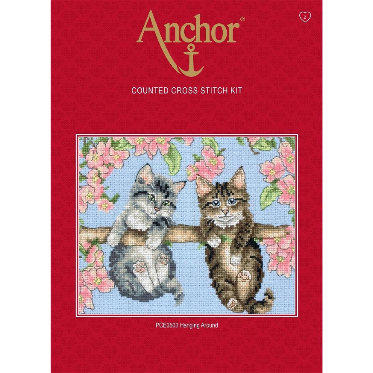 Anchor counted Cross Stitch kit ""Hanging Around"", DIY