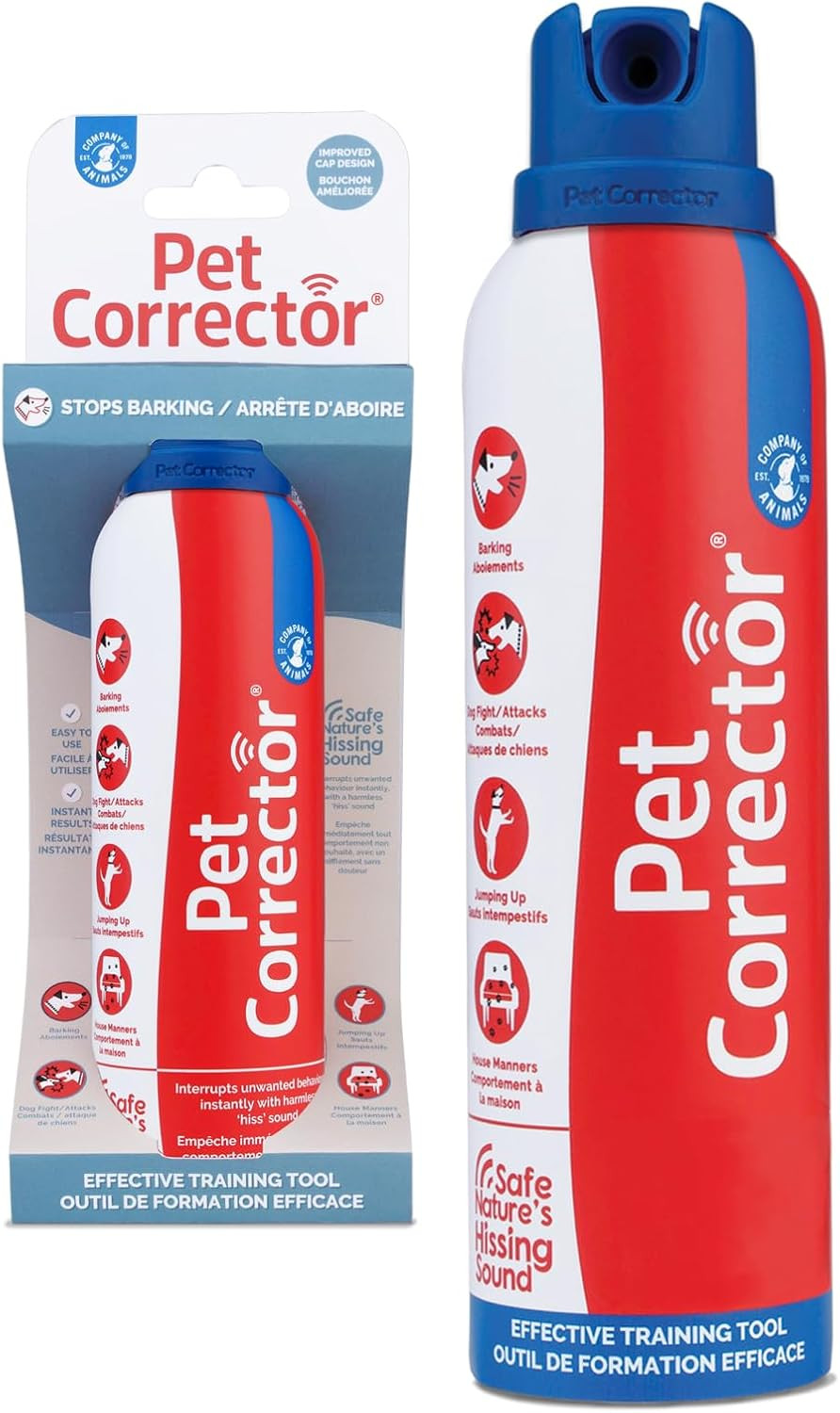 Supporto Professionale Correzione Comportamenti Indesiderati Cane