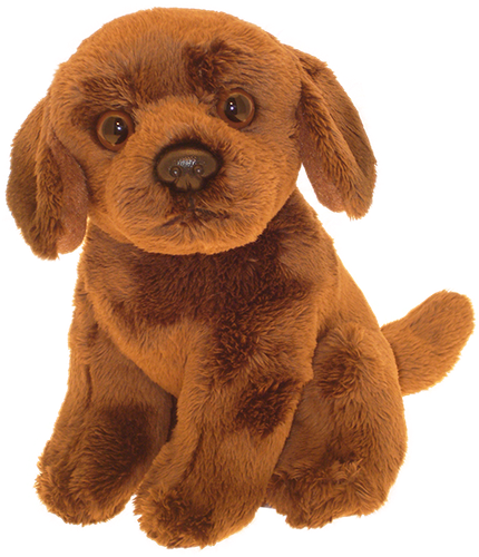 chocolate lab teddy