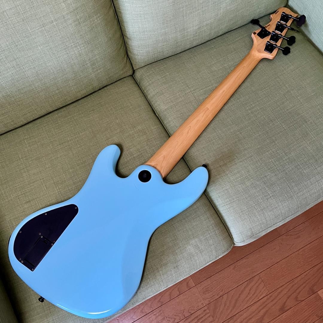 Electric Bass Guitar Freedom Custom Guitar Research Rhino 5st