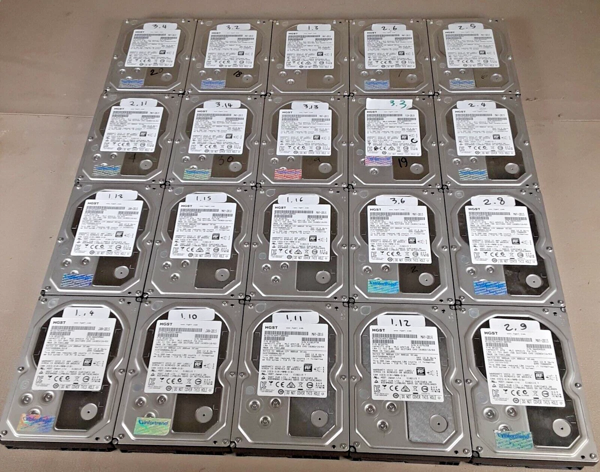 HGST Internal Hard Disk Drives 6 TB Storage Capacity for sale | eBay