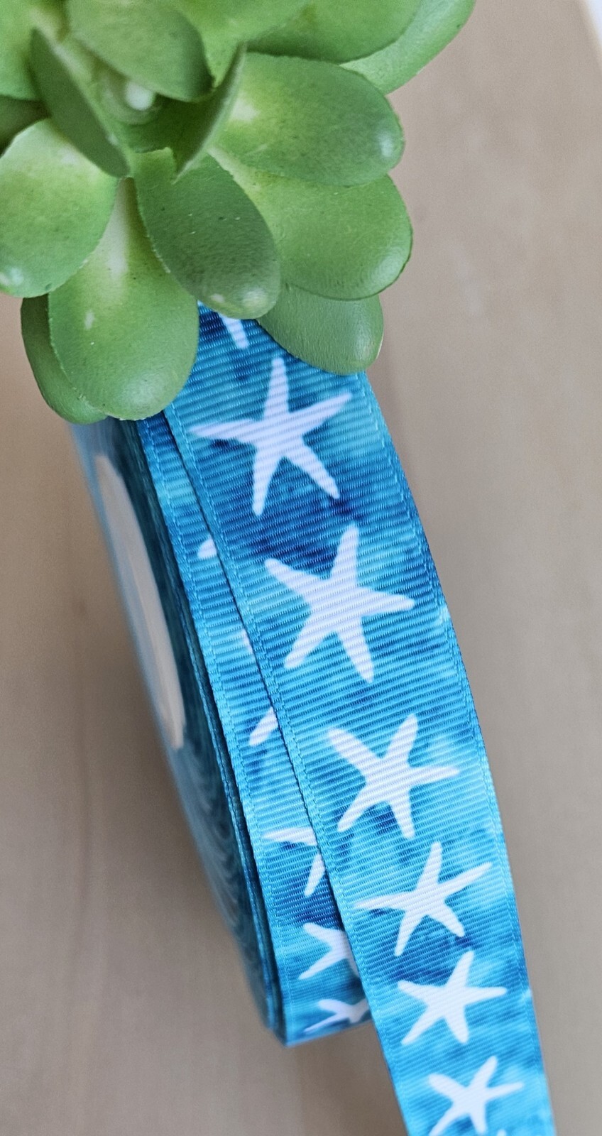 Shell Ribbons 3/8, 5/8 & 7/8