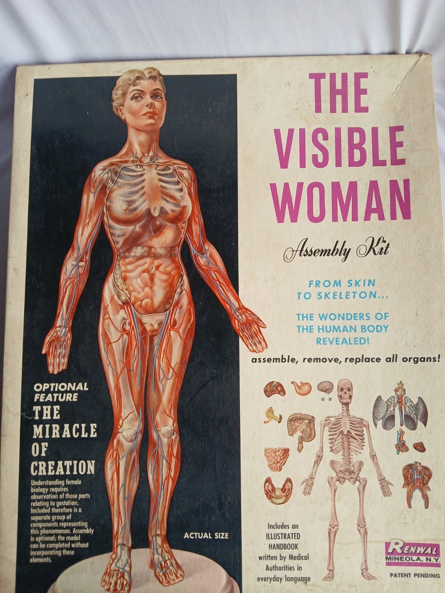 visible woman products for sale | eBay