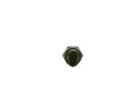 Bosch Sensor, Kraftstoffdruck 0 281 006 187 FüR Renault