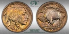 1917 Buffalo Nickel 5C MS63 AMAZING TONER CAC Philadelphia KM#134