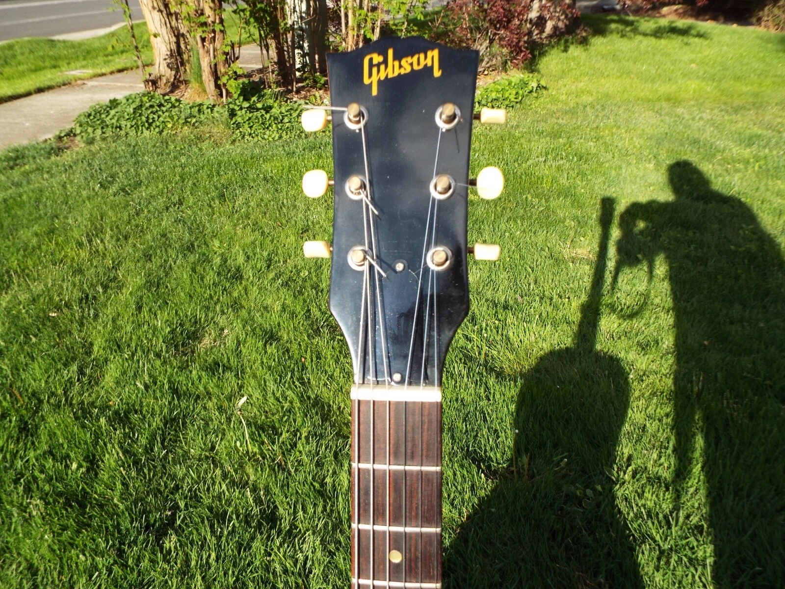 Picture 5 of 19