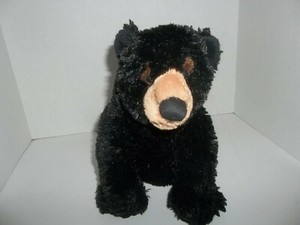 aurora world bear