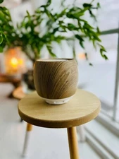 Scentsy Beach Wood Scentsy Air Tabletop Fan Diffuser New