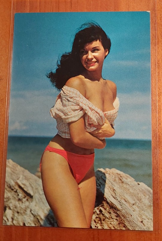 1983 BETTY PAGE UNUSED POST CARD - BEAUTY AND THE BREEZE  MIAMI FLORIDA 