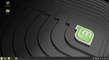 New 2025 Linux Mint Cinnamon 22 Linux - 16 GB BOOTABLE USB
