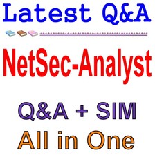 NetSec-Analyst Palo Alto Networks Network Security Analyst Exam Q A