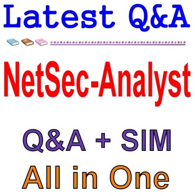 NetSec-Analyst Palo Alto Networks Network Security Analyst Exam Q&A