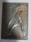 medal plaque exhibition history medicine 1898 Turin