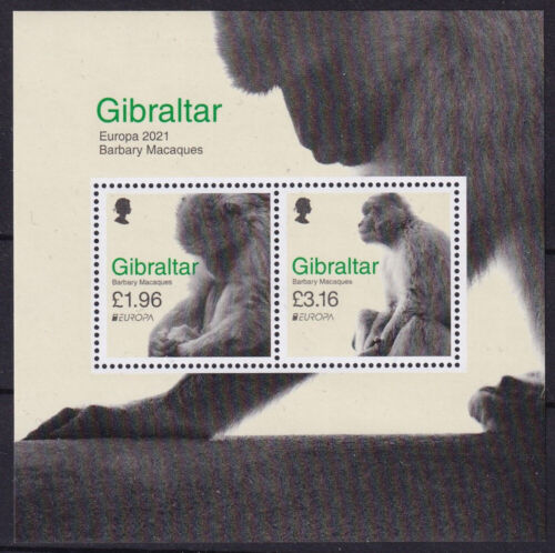 Gibraltar 2021 Block 145 Monkeys Berber Monkeys Europe CEPT Mint - Picture 1 of 1