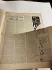 Bild 7 von 12