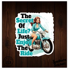 Enjoy The Ride - Vinyl Decal Sticker - Car Window Laptop - ebn12687