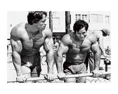 Arnold and Franco Workout Bodybuilding Poster