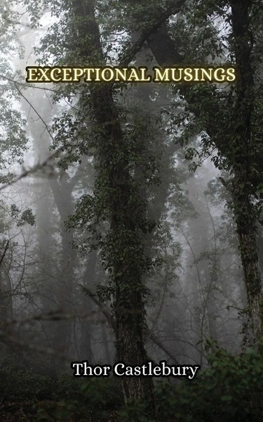 Exceptional Musings Thor Castlebury Taschenbuch Englisch 2024 EAN 9789916349687-image