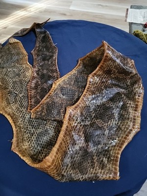 4 Foot Snake Skin For Jewelry Or Crafting Or Decor