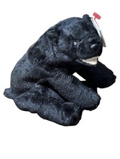 Ty Beanie Baby Cinders the Bear Black Still Has Tags | Stuffed Black Bear Plush