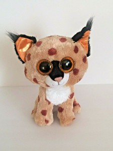 buckwheat beanie boo