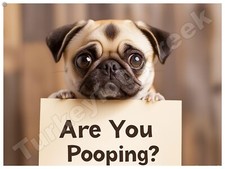 Are You Pooping Pug Metal Sign 3 Sizes to Choose From a45