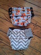 Set Of 2 Cloth Covers and Liners All In One