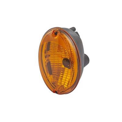 Hella Blinkleuchte 2BA343130-051