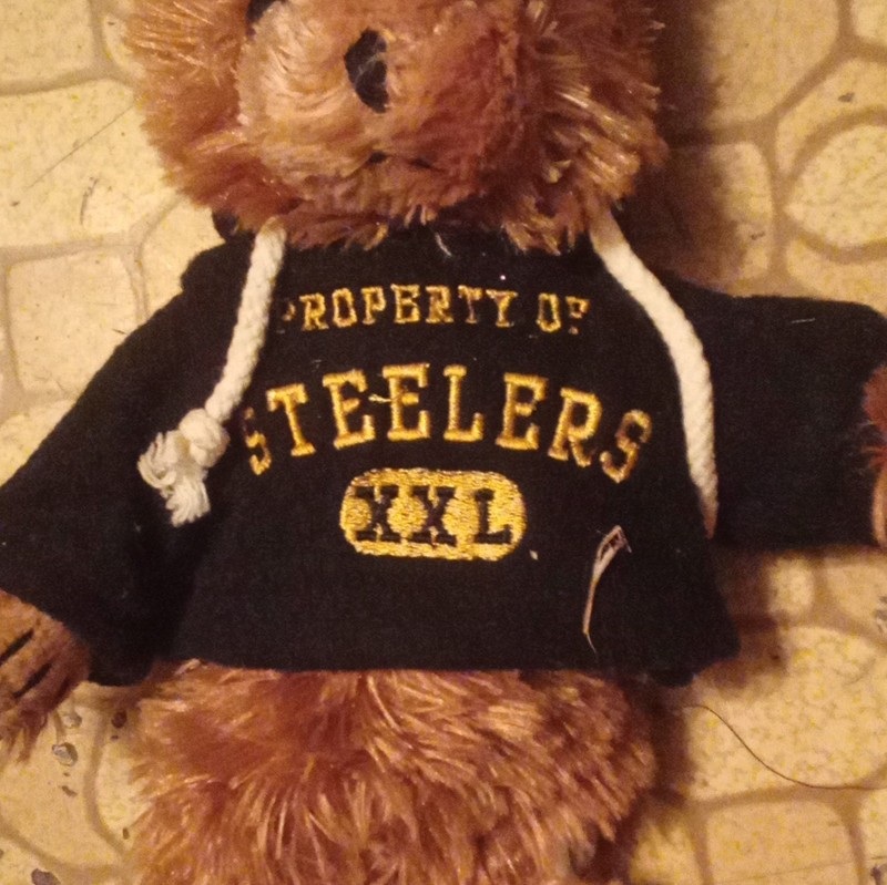 Officially Licensed NFL Pittsburgh Steelers Plush Teddy Bear Black Hoodie