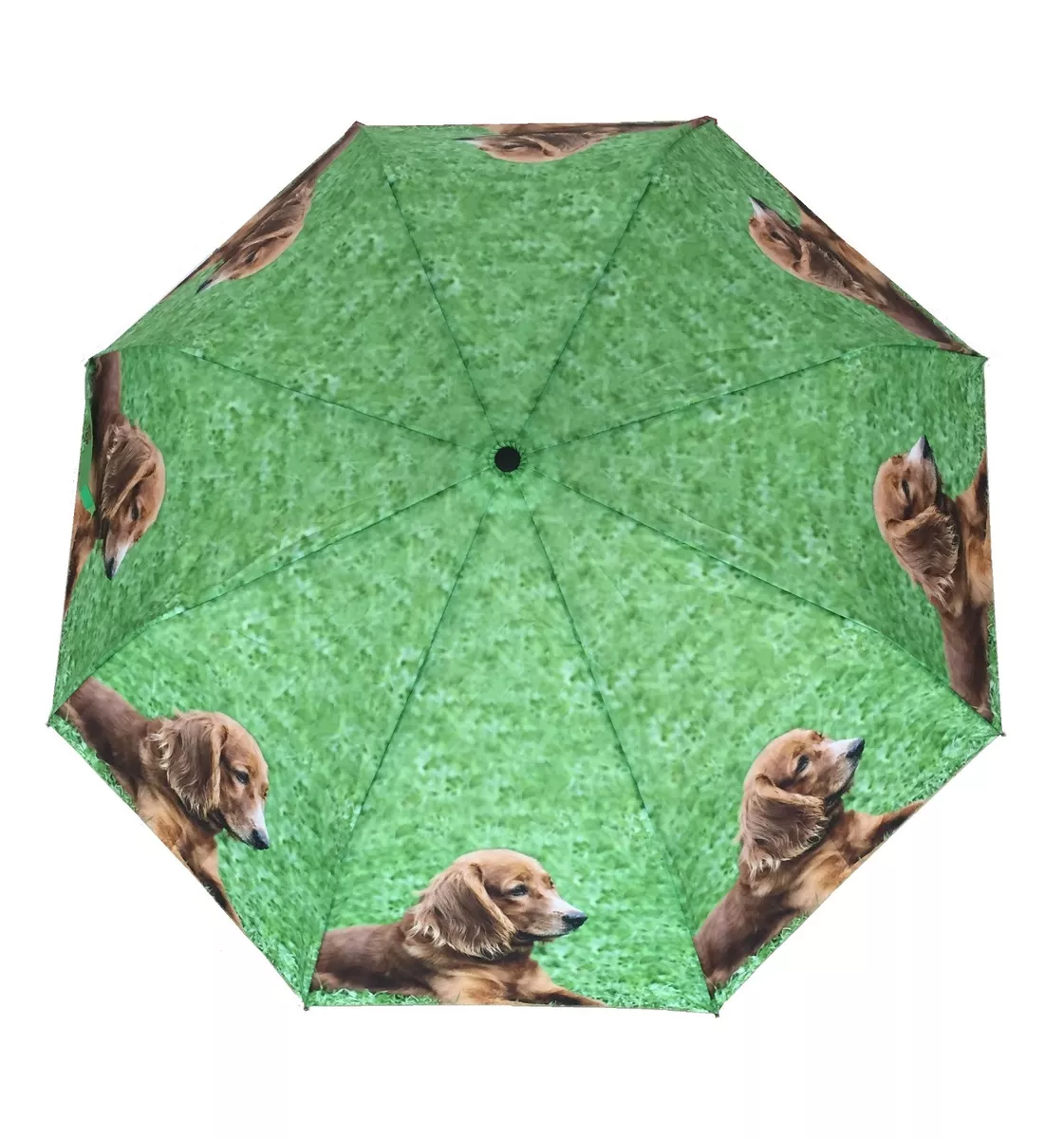 Cocker spaniel store umbrella