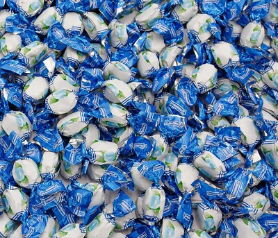 COLOMBINA Delicate Mint Drops, Bulk Mini Breath Freshening Mints