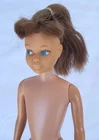 Vintage Barbie Skipper Doll 1963