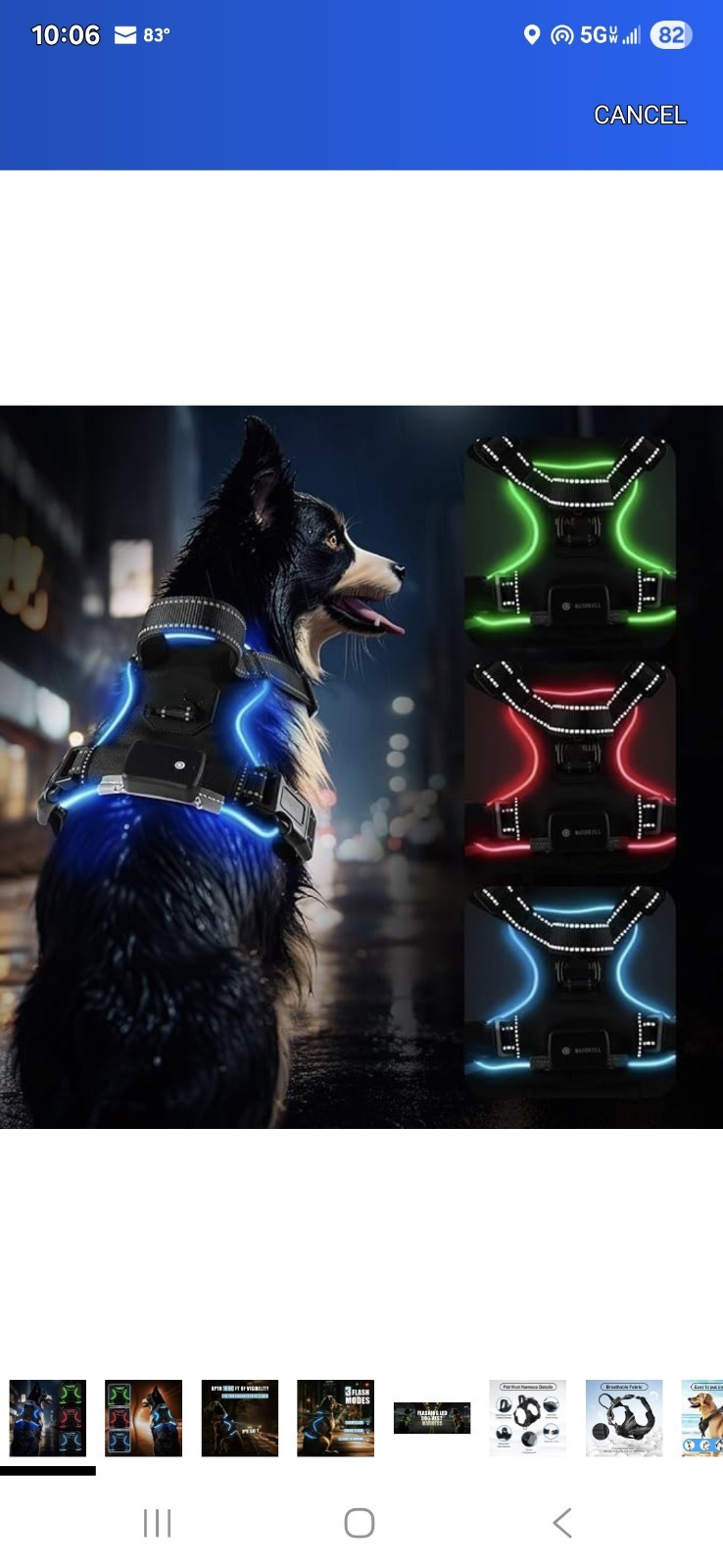 Blue (LED) Light Dog Harness | Dog Harness For Medium Sized Dog