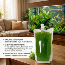 Green Water Live Chlorella Culture - 16oz for Fish Fry Shrimp Daphnia Moina