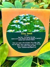 Wildflower Daisy Seeds Oxeye 1000+ Ox-eye Seeds with Free Bookmark