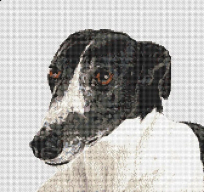 SUSANMOWER Greyhound dog Puppy Counted Cross Stitch Kit 12" x 11.25" 30cm x 28cm 14 ct