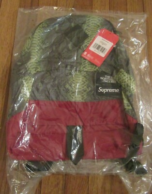 Supreme The North Face TNF Lightweight Daypack Backpack Snake Green SS18 DS New