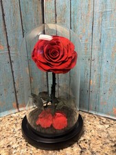 Preserved Forever Rose in Glass Dome Red Rose Rare HTF Black Leaves