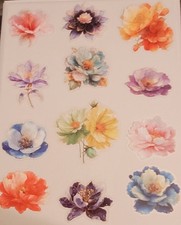 BB12E 12pc set Transparent Watercolor Flower Blooms Journal Crafting Stickers