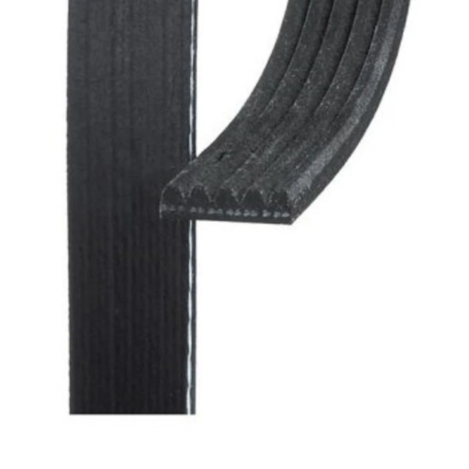 Cinturón serpentino acanalado en V estándar ACDelco genuino para Toyota Celica 1990-1999 Foto 3 de 4