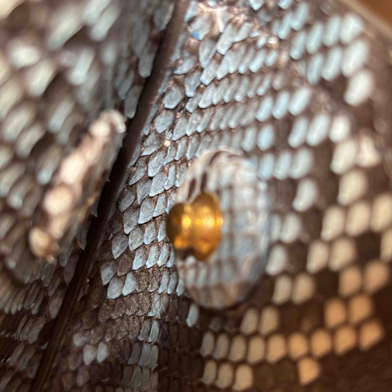 Prada Python Large Double Bag Roccia Blue/Tan Sna… - image 10