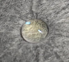 (NEW) Thorlabs LA1576-B - Plano-Convex Lens, 9.0 mm, f = 12 mm, 650 - 1050 nm