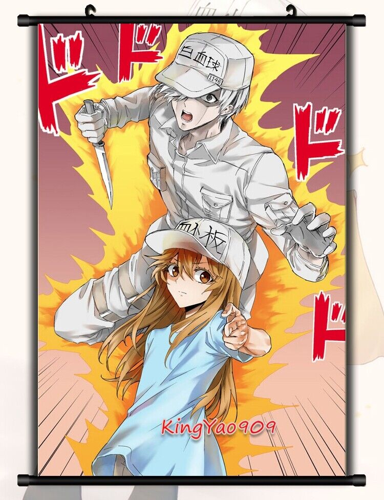 WBC Platelet Anime Cells at Work! HD Wall Decoration Scroll Poster 90*60CM  #021 | eBay