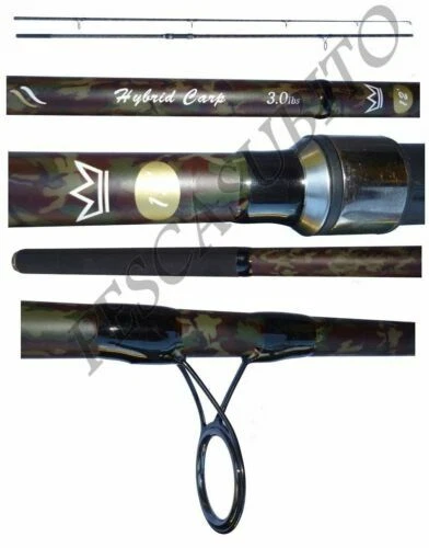 Canne da pesca della carpa