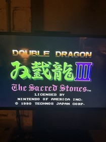 Nintendo NES Game Lot - Double Dragon 3, Top Gun, Karate Kid, WrestleMania, MLB