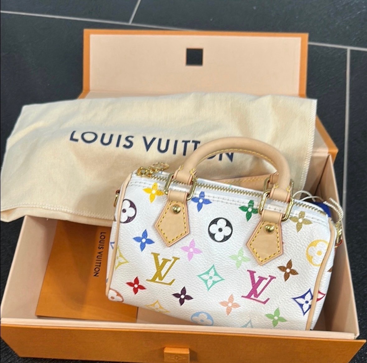 Louis Vuitton Speedy Shoulder Bag Nano Brown Canvas Monogram